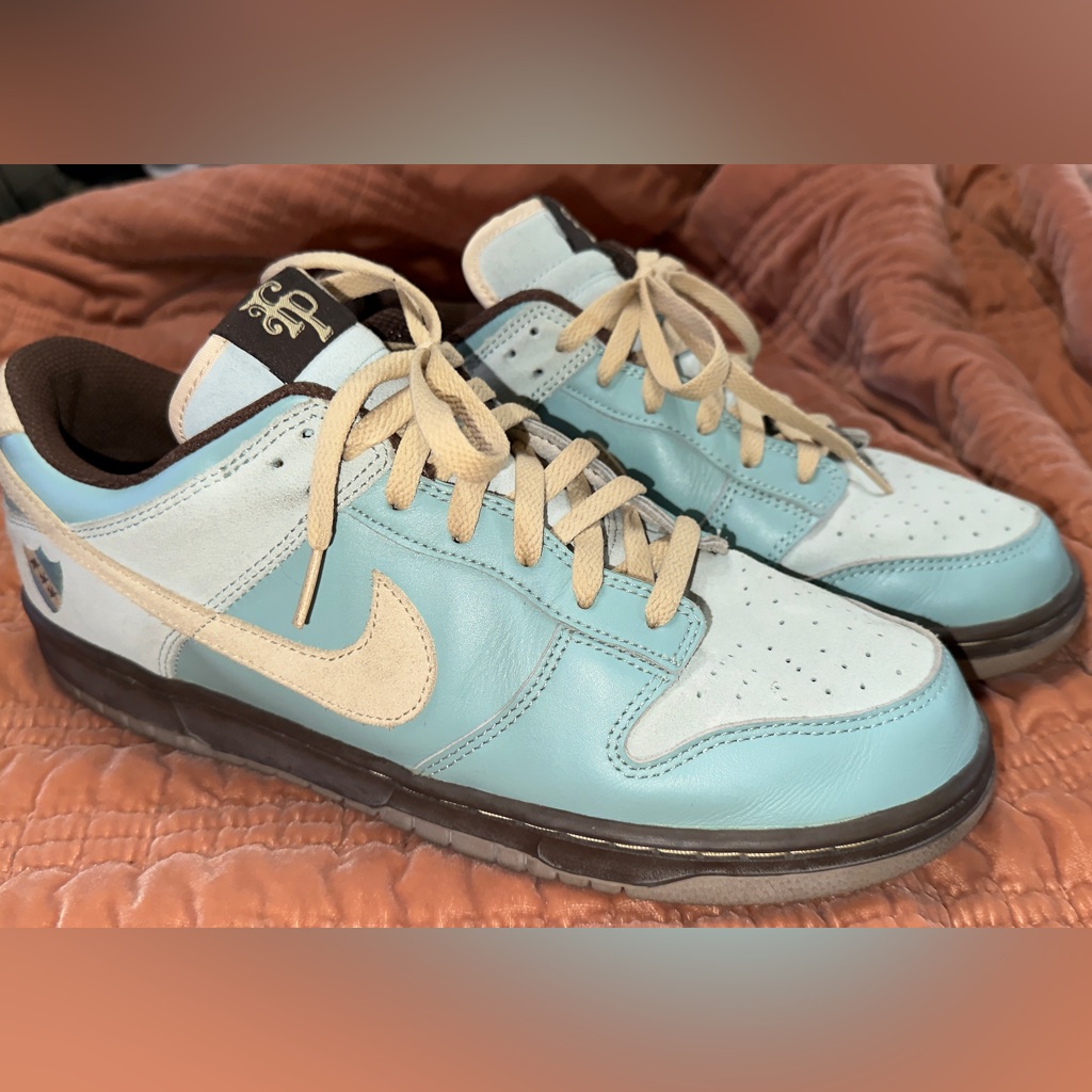 Nike Sb Dunk Size 13 “Flamingo Park- Argentina”